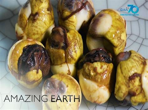 Amazing Earth: What are the health benefits of balut quail eggs or .